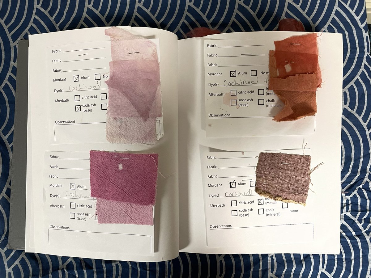 museumfunmaker's tweet photo. learning so much about the fascinating process of using natural dyes with Kristy Bishop (out of CHS). great way to incorporate both history and the scientific process. #SCAEA21gvl #STEAM #naturaldyes https://t.co/aonOLp7zTL