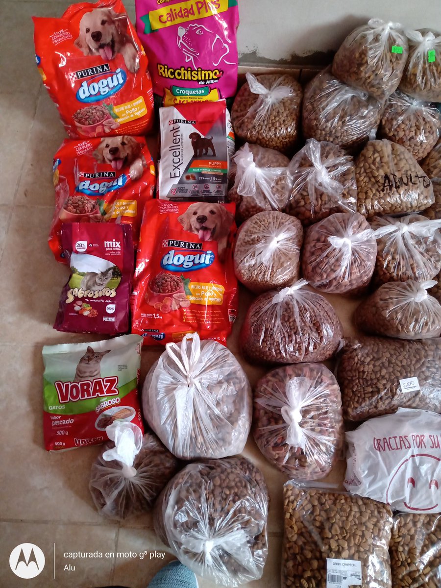 Alejand62673808's tweet photo. Gracias a todas las personas
 que llevaron su colaboración de alimento para perros o gatos 
a la presentación del documental de Molly en el cine Coliseo.
Gracias! Estás tarde lo llevamos al refugio los callejeros.
Gracias totales a Karina James, Diego Campos y a Santi Vicioli https://t.co/fiFFWYmFTd