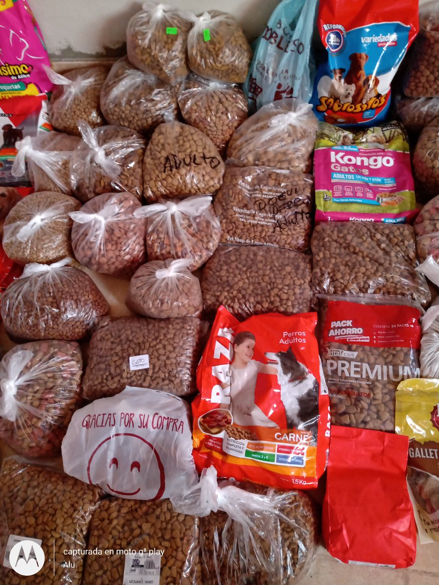 Alejand62673808's tweet photo. Gracias a todas las personas
 que llevaron su colaboración de alimento para perros o gatos 
a la presentación del documental de Molly en el cine Coliseo.
Gracias! Estás tarde lo llevamos al refugio los callejeros.
Gracias totales a Karina James, Diego Campos y a Santi Vicioli https://t.co/fiFFWYmFTd