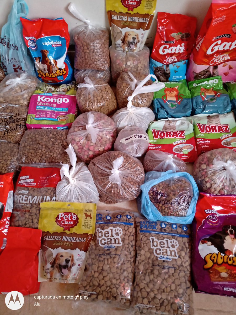 Alejand62673808's tweet photo. Gracias a todas las personas
 que llevaron su colaboración de alimento para perros o gatos 
a la presentación del documental de Molly en el cine Coliseo.
Gracias! Estás tarde lo llevamos al refugio los callejeros.
Gracias totales a Karina James, Diego Campos y a Santi Vicioli https://t.co/fiFFWYmFTd
