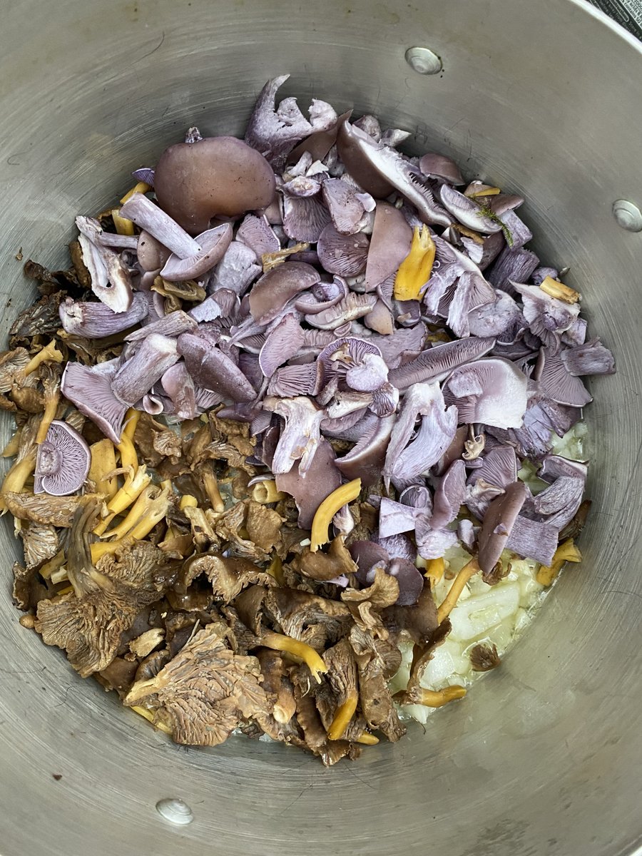 TotallyWildUK's tweet photo. Such vibrant colours in the woods and on the plates on our foraging course today near London.
https://t.co/eKrUouMVnZ
#wildfood #foraginguk #wildmushrooms #mushroomrisotto #ukforaging #fungi #mushroomseason https://t.co/vBOoCUOhUS