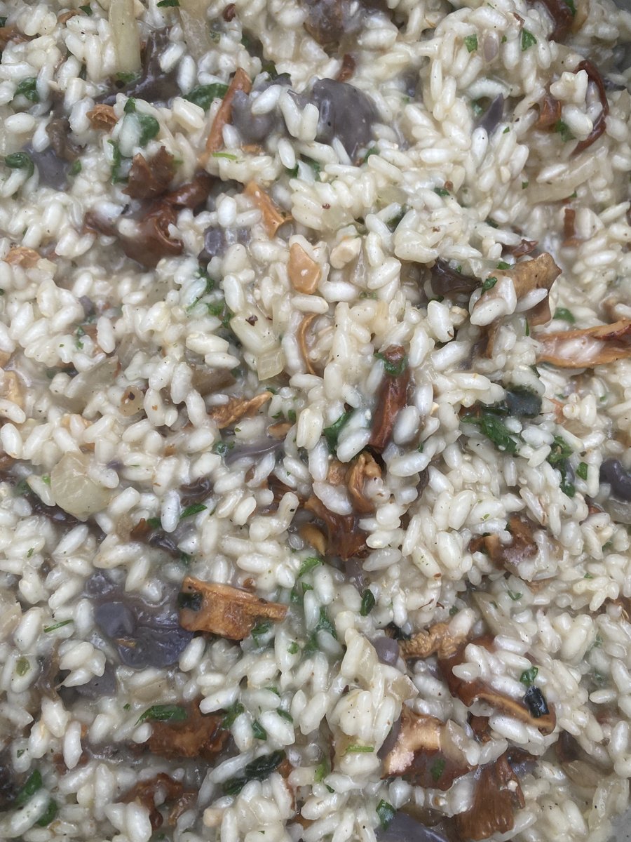 Such vibrant colours in the woods and on the plates on our foraging course today near London. 

totallywilduk.co.uk/foraging-cours…

#wildfood #foraginguk #wildmushrooms #mushroomrisotto #ukforaging #fungi #mushroomseason