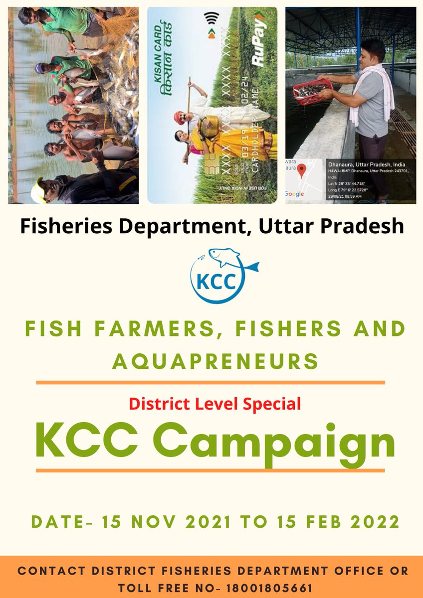 District level Special KCC Campaign begins from 15th November 2021 in all districts of the state for Kisan Credit Cards to Fish Farmers/Fishers/Aquapreneurs. Kindly contact to District Fisheries Officers for more information.
#upfisheries
#KCC
<a href="/nfdbindia/">.</a> <a href="/FisheriesGoI/">Department of Fisheries, Min of FAH&D</a>