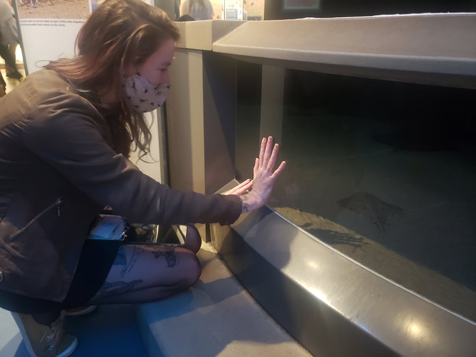 daniellequinn88's tweet photo. Sooo... does anyone else miss their study species post-field work?
ty @ScienceShayna for capturing me longingly reaching for this beautiful Little Skate @NatlAquarium
#FishSci #SciComm #AFS151 #SkateLife #MyBabies https://t.co/m9dV91nPRX