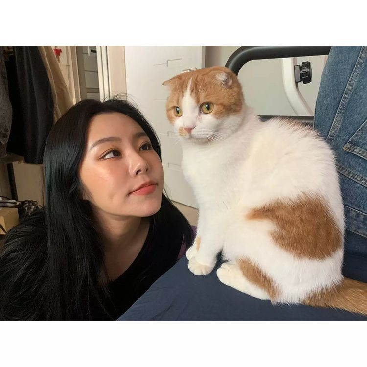 wheein17041995's tweet photo. [🎉#햅휘꼬모데이!🎉]
앞으로도 지금처럼 서로의 곁에서 행복하고 건강하길🐱🦋

#꼬모_5살_축하해 https://t.co/67c8k1o5LA