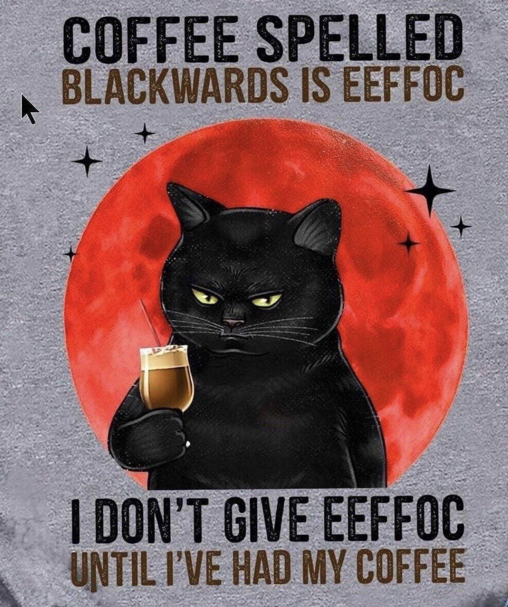 Good Caturday Morning!☕️☕️☕️