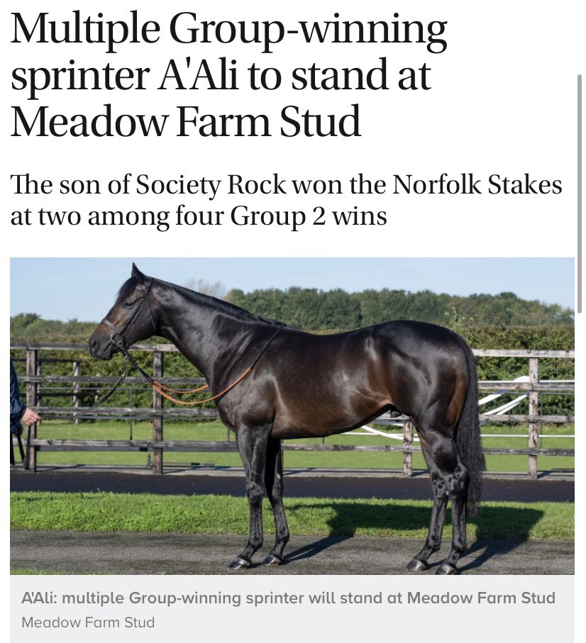 Star sprinter A’Ali prepares for the next chapter. A’Ali provided the Gainsborough team and Shaikh Duaij Al Khalifa with multiple Group successes including the Norfolk Stakes on his 2nd start. We look forward to training his progeny in years to come🤞 #gainsboroughthoroughbreds