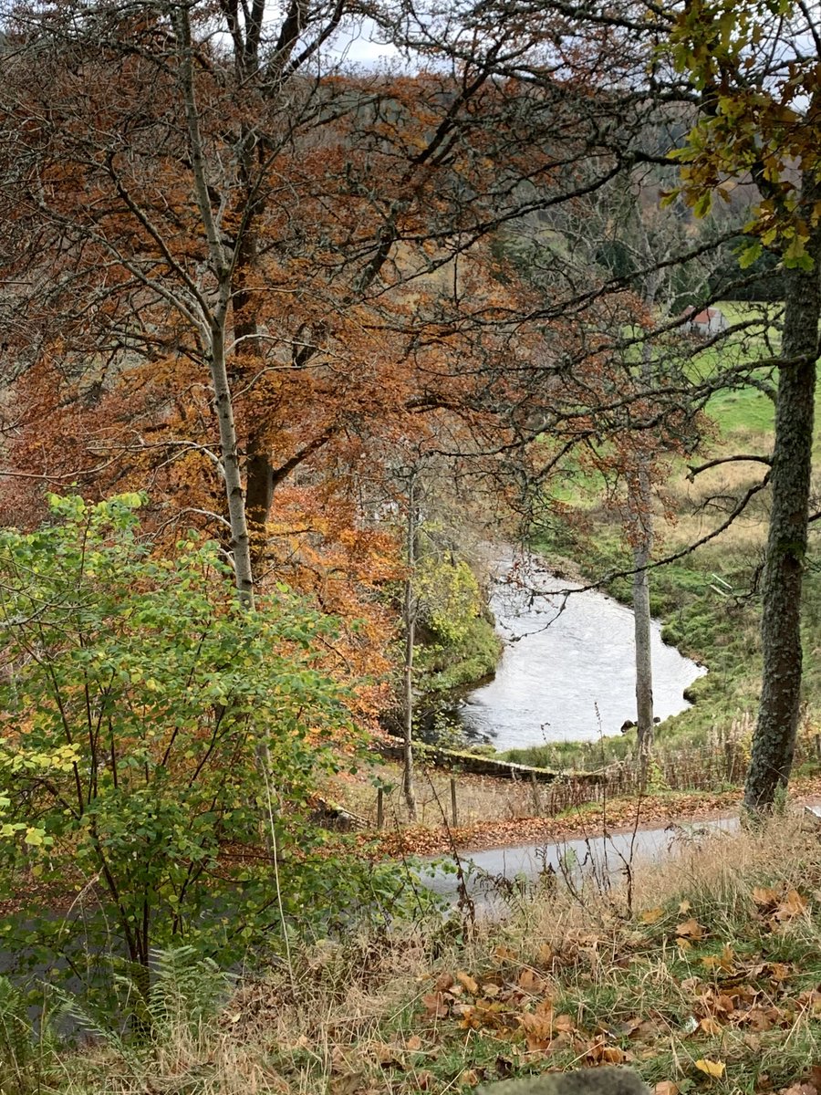 SCDC_Dawn's tweet photo. Beautiful crisp autumn day and beautiful colours here at #SweetDonside https://t.co/mEUandPZj5
