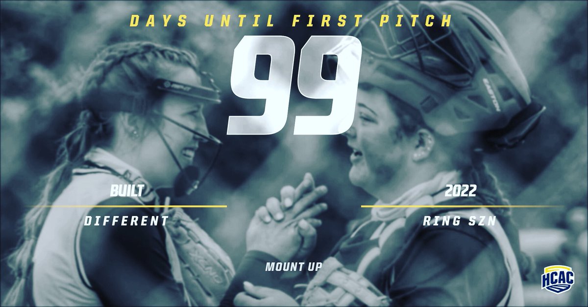 MSJ Softball tweet media