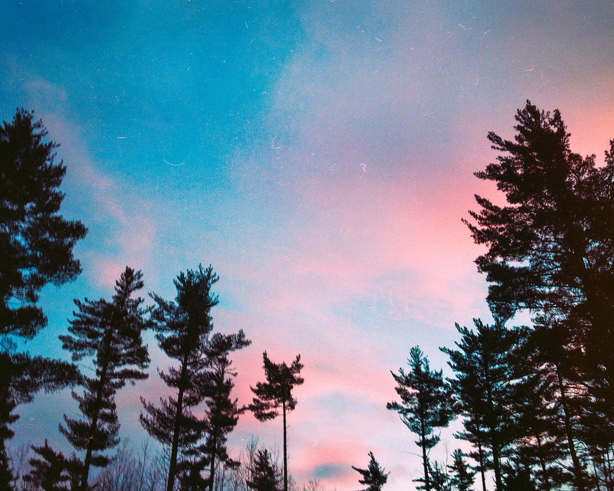 pink skies on 🎞