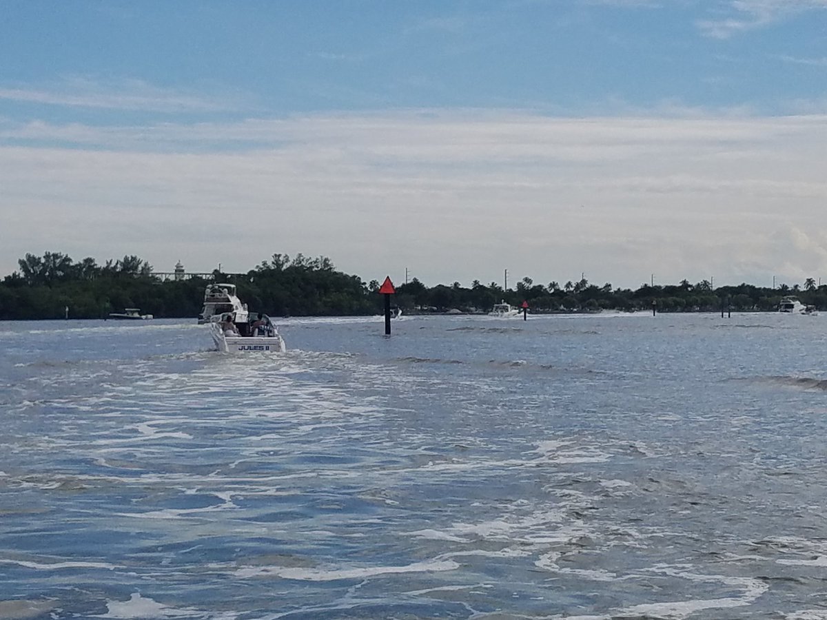BryanAvilaFL's tweet photo. Fall in #Miami. #NoSweaterWeather https://t.co/sWwqCVOBs9