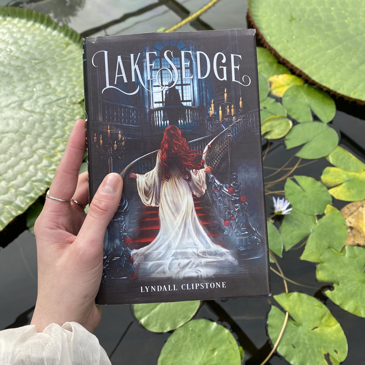 Fierce Reads (@fiercereads) on Twitter photo "Bloody, sumptuous, and as timeless as a fairy tale." —April Genevieve Tucholke, author of The Boneless Mercies
Have you picked up LAKESEDGE by <a href="/lkclipstone/">lyndall clipstone</a> yet? This lush, gothic fantasy is a can't-miss 2021 debut. Start reading today: bit.ly/3vAmigj "Bloody, sumptuous, and as timeless as a fairy tale." —April Genevieve Tucholke, author of The Boneless Mercies
Have you picked up LAKESEDGE by <a href="/lkclipstone/">lyndall clipstone</a> yet? This lush, gothic fantasy is a can't-miss 2021 debut. Start reading today: bit.ly/3vAmigj