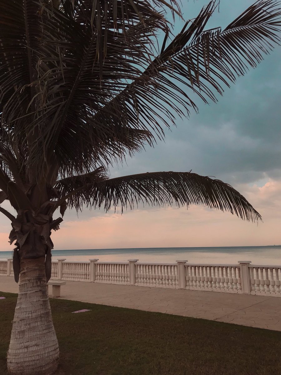 n5999's tweet photo. قهوه وبحر ياحلّو الشعور.🤍🥺
#قهوه #ينبع #أمطار https://t.co/KPJtHzZQ77