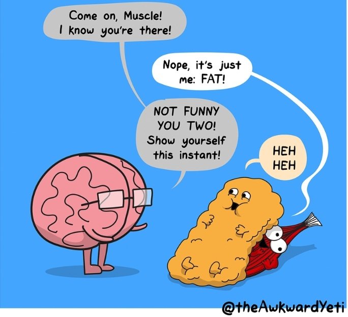 wanjiscombe's tweet photo. This is what reading muscles has got me to. 🧐🧐🧐

#anatomy #muscles #movement https://t.co/kGbKQMnVpo