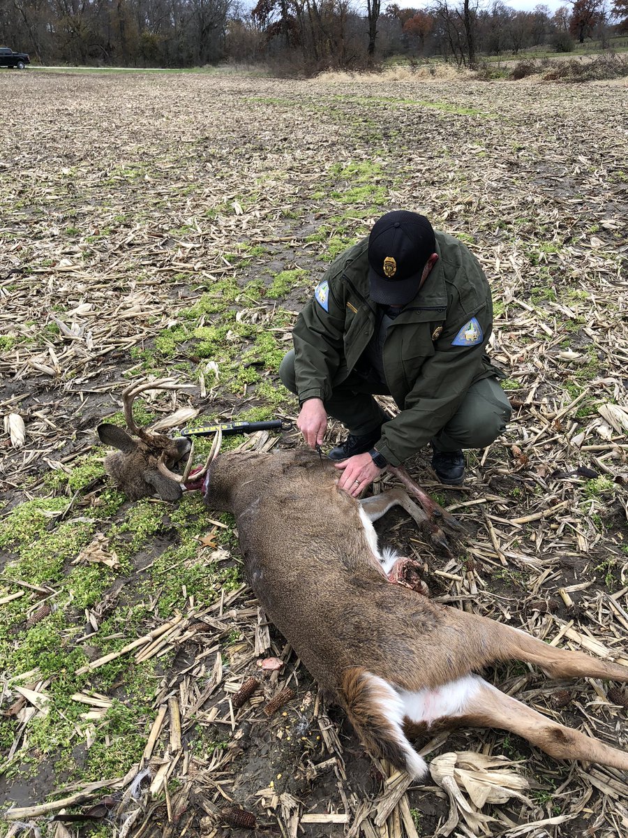 MDC_online's tweet photo. STOP POACHING: Adair County Conservation Agent Kevin Powell is collecting evidence on a poaching incident. #stoppoaching #Moconservation https://t.co/gFAL9mdBXS