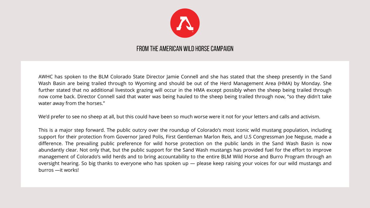 FreeWildHorses's tweet photo. UPDATE on the situation in the Sand Wash Basin HMA: https://t.co/S3fbOUM8Ek