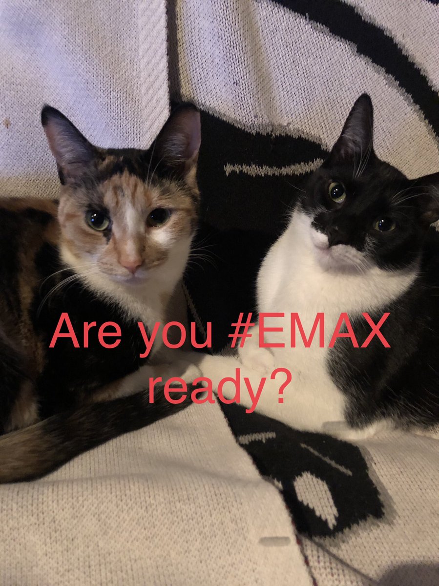 MariGoug's tweet image. It’s #Caturday! What’s #EMAX? ✔️ethereummax.org 🔥$EMAX #eMaxArmy #crypto #cat #catlady #Cryptotwitter #Feline