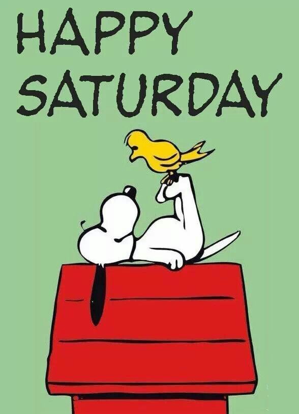 DTNEtiquette's tweet photo. Happy Saturday...enjoy your day and make sure to have some fun! ~ #DTN #weekendfun #time2relax https://t.co/lyjyyBr12T