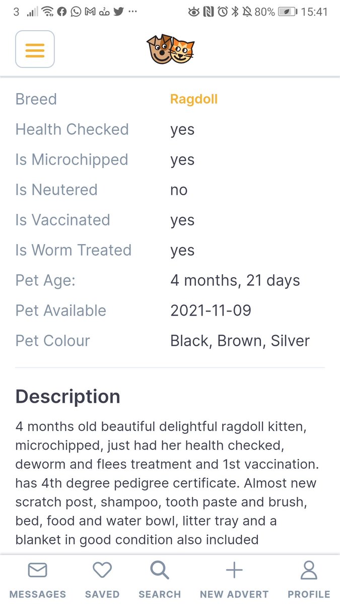 marathonchick6's tweet photo. Pets4Homes, isn't it time you stopped condoning illegal activities?
Lucy's Law?
#illegal #pets4homes #reading https://t.co/XpxUdJhQ2M