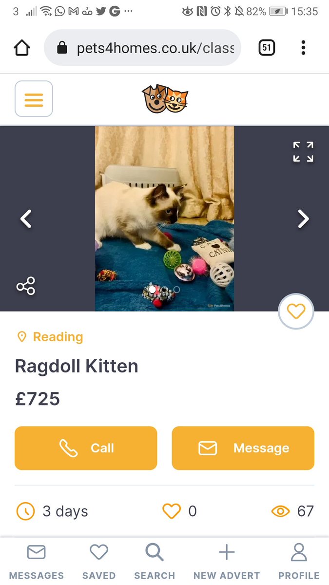 marathonchick6's tweet photo. Pets4Homes, isn't it time you stopped condoning illegal activities?
Lucy's Law?
#illegal #pets4homes #reading https://t.co/XpxUdJhQ2M