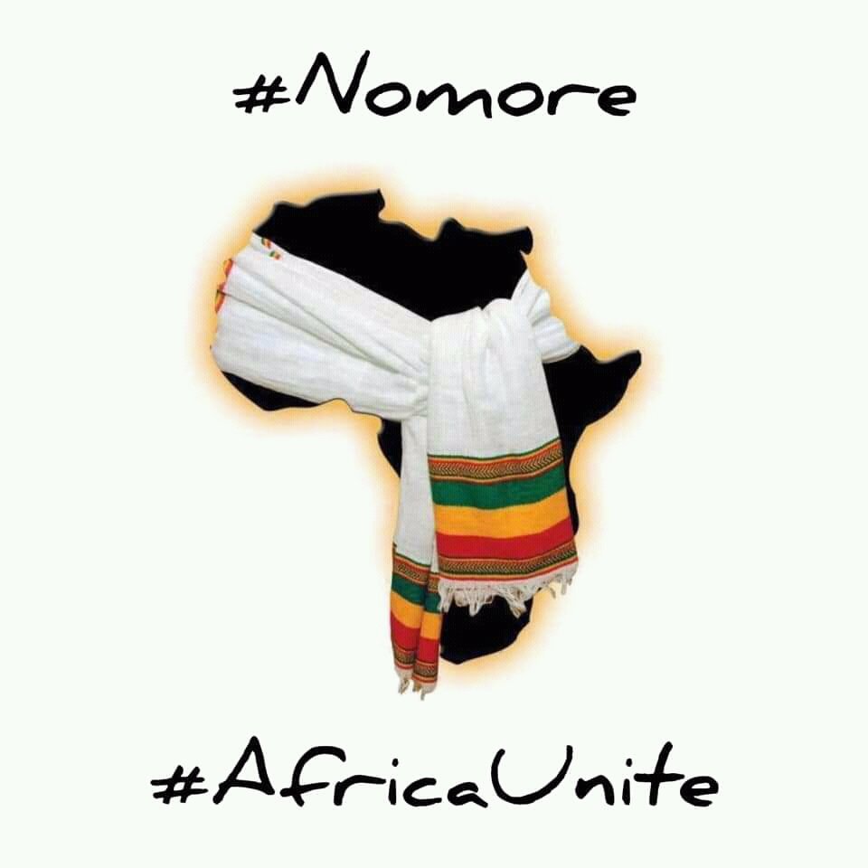 RescuedRuth's tweet photo. #NoMore https://t.co/g9B5RUiDWV