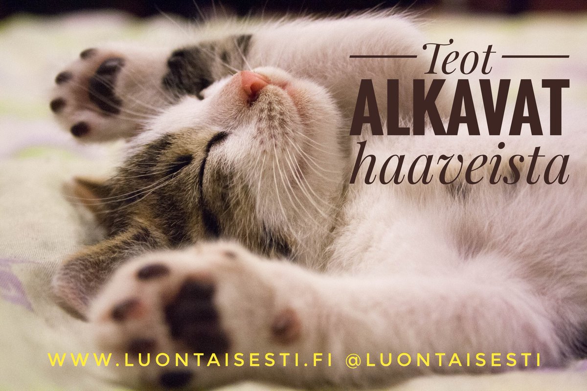 CAMaloite's tweet photo. Tänään on hyvä hetki haaveilla. Laittaa silmät kiinni ja kuvittella maailma, jossa luontaishoidot olisivat osa normaalia ja tavallista terveydenhoitoa.

Kuinka lääkärille kertoisi kokeilevansa mielummin ennen muita hoitomenetelmiä homeopatiaa, ayurvedaa ja aromaterapiaa, ehkä https://t.co/8KEavtFThh