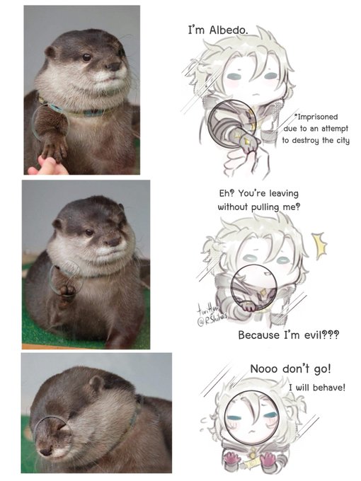 Otterbedo 🦦

#Albedo #原神 #GenshinImpact 