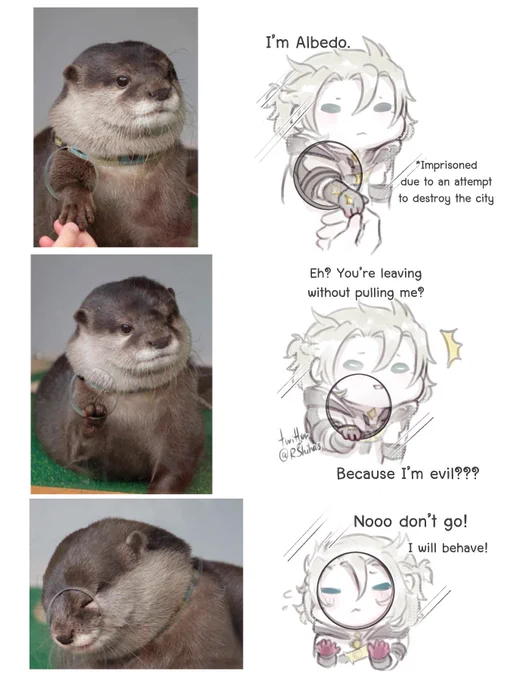 Otterbedo 🦦

#Albedo #原神 #GenshinImpact 