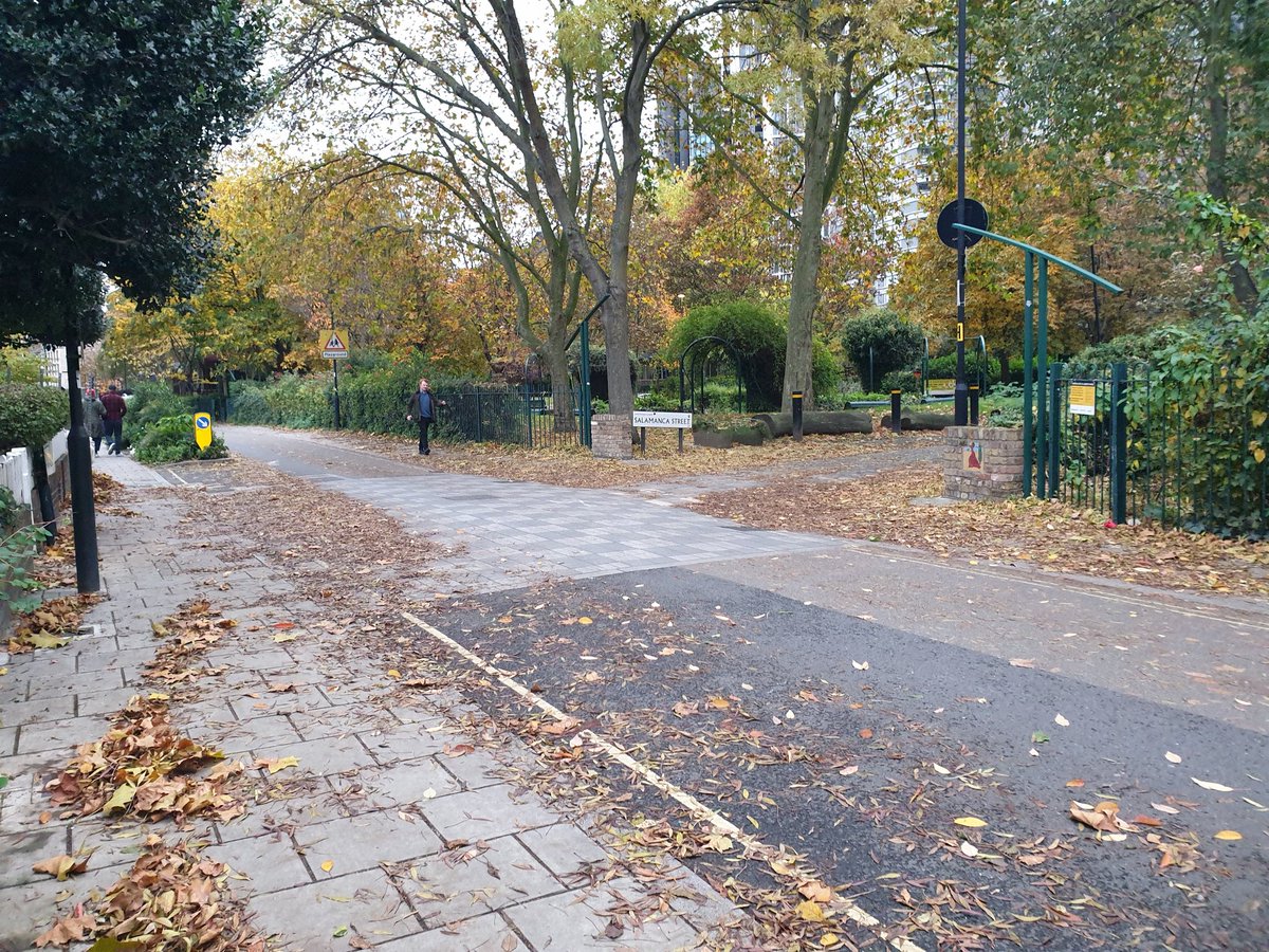 andy_vauxhall's tweet photo. You'd think after 7 years collecting leaves from streets in Vauxhall I'd be bored. Far from it. One of my favourite past times as a gardener. The new fangled word is #biomass apparently #leafmold #CommunityDay #environment #savetheplanet https://t.co/kmuHhblKFk