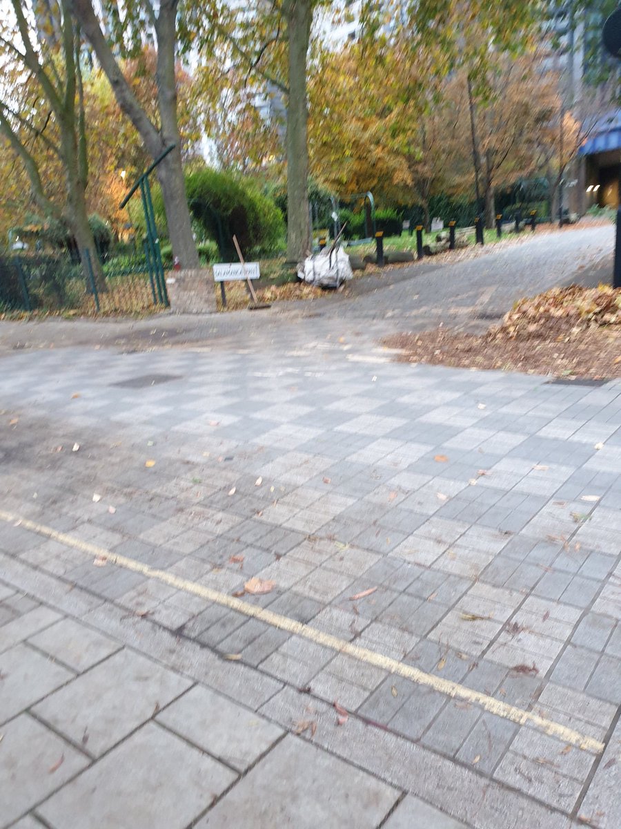 andy_vauxhall's tweet photo. You'd think after 7 years collecting leaves from streets in Vauxhall I'd be bored. Far from it. One of my favourite past times as a gardener. The new fangled word is #biomass apparently #leafmold #CommunityDay #environment #savetheplanet https://t.co/kmuHhblKFk