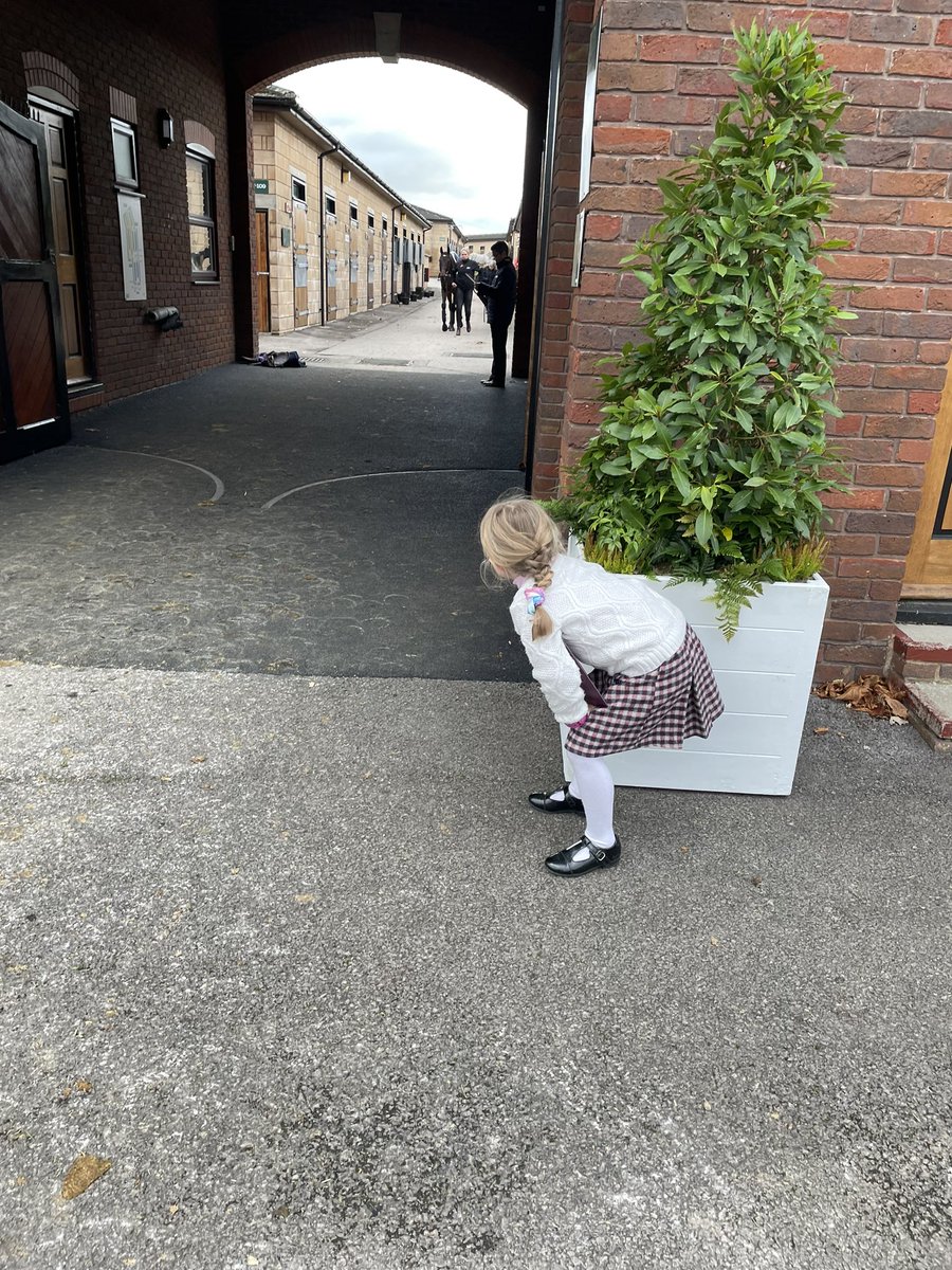 SHJones208's tweet photo. His biggest fans #Lalor #SmallTrainer stalking our old mate!! ❤️🐎

Congrats to @PFNicholls and connections for a great comeback run 👏🏼 https://t.co/yaUvMwwRtZ