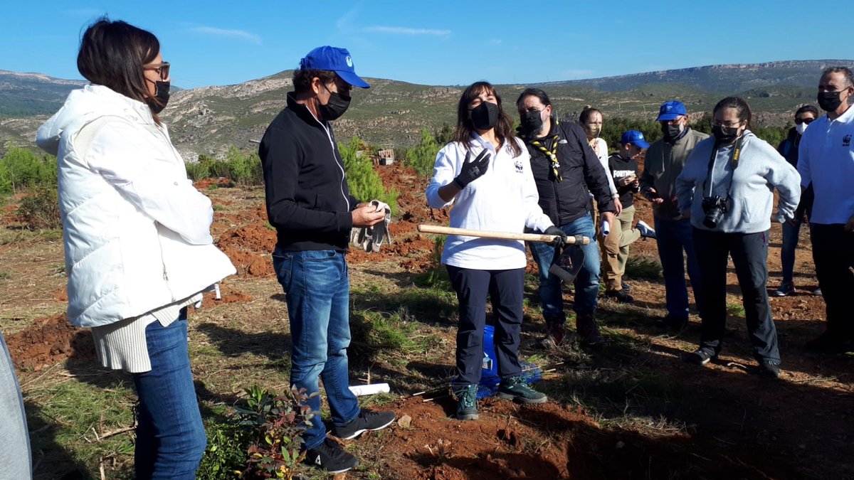 sanitas's tweet photo. Hoy estamos en Barcelona y Valencia con @WWFespana ayudando a la regeneración de espacios verdes con la plantación de nuevos árboles 🌳Cumplimos así nuestro compromiso tras la consecución del reto de la sexta edición del proyecto #HealthyCities 👇 https://t.co/OiRYFB6sfq