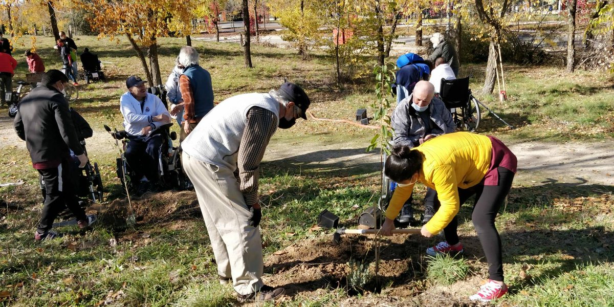 ARBA3c's tweet photo. Algunas fotos de esta mañana en la plantación con los vecinos de #Polibea en el Parque de los Alcornoques. ¡Una mañana muy divertida y productiva, gracias a todos por venir! #TresCantos https://t.co/FVSLtEHfMU