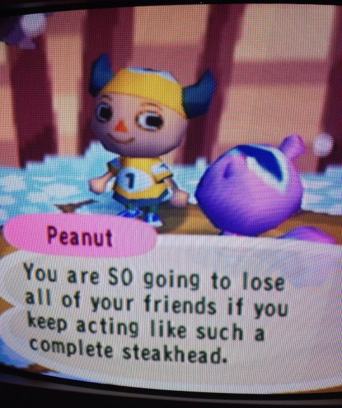 animal crossing bot 🌱 tweet media