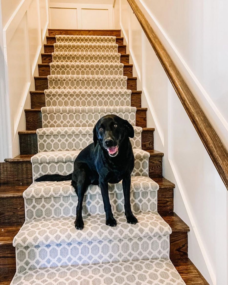 AndersonTuftex tweet media