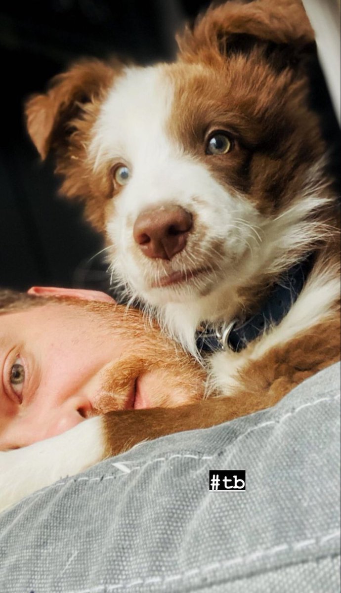 engin’in vegası’🤍