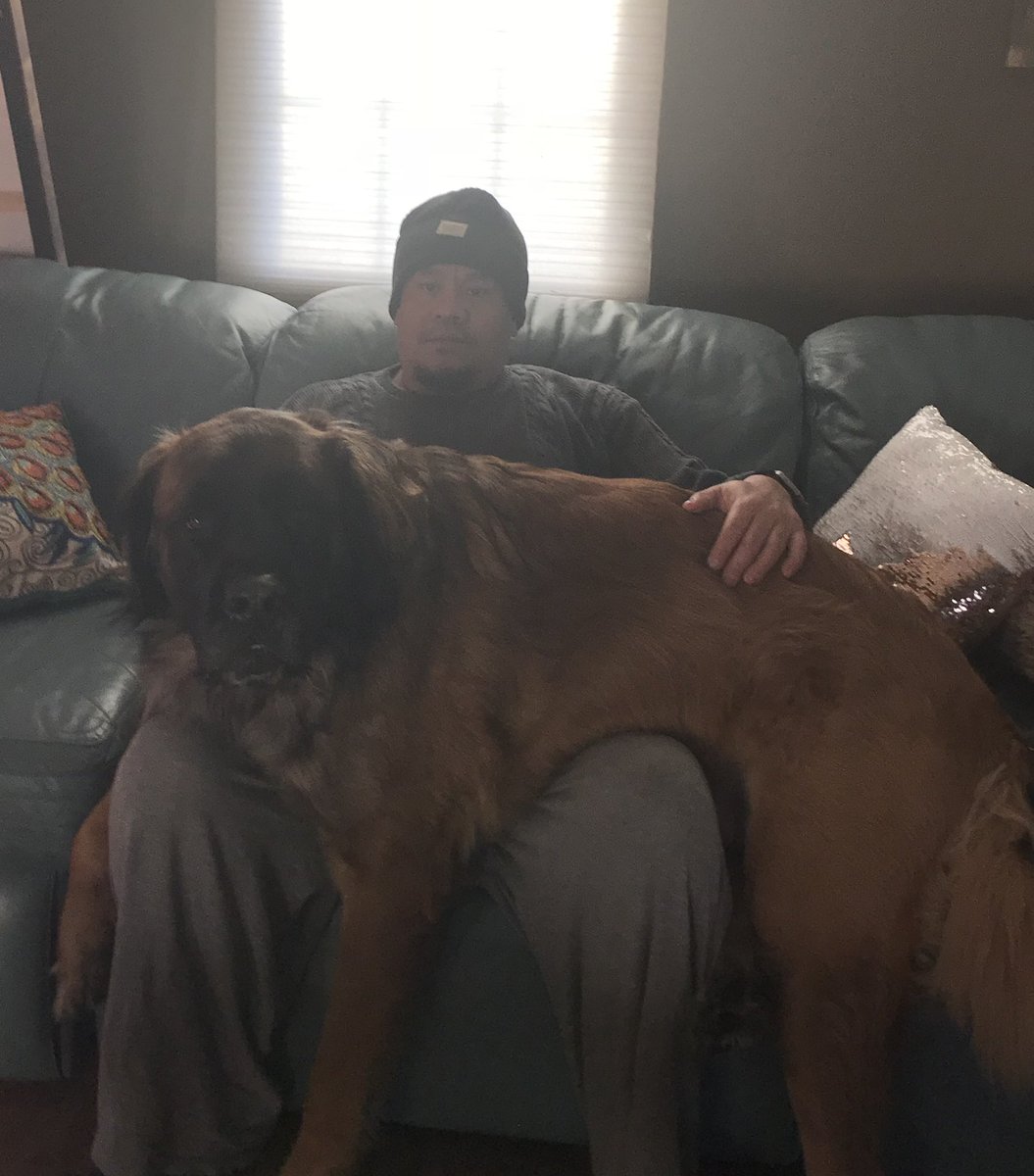 Thrillamanila13's tweet photo. My heart is breaking. Have to say goodbye to this good boy today.
I’ll miss you and I’ll see you at the rainbow bridge. Love you Mickey! https://t.co/ZOF4meUFf9
