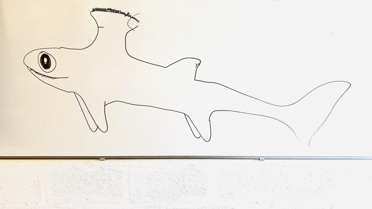 Val_Fisch's tweet image. #academicteaching