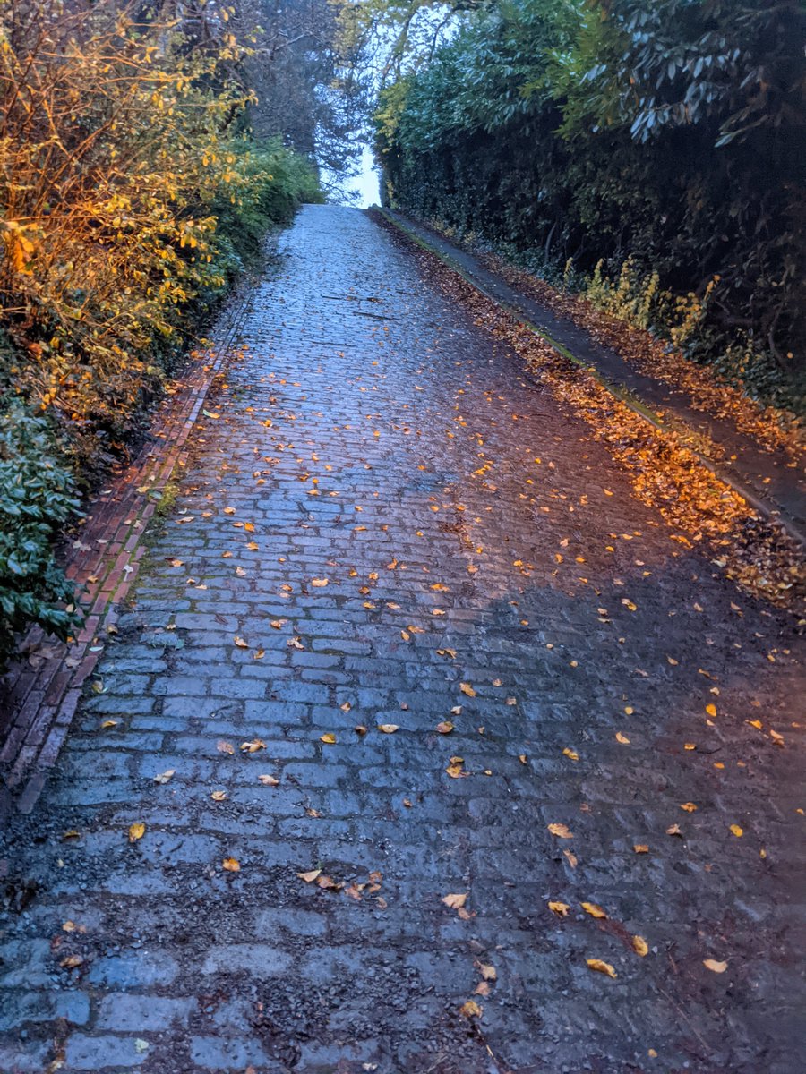 Tino Tereshko 🇺🇦 tweet media