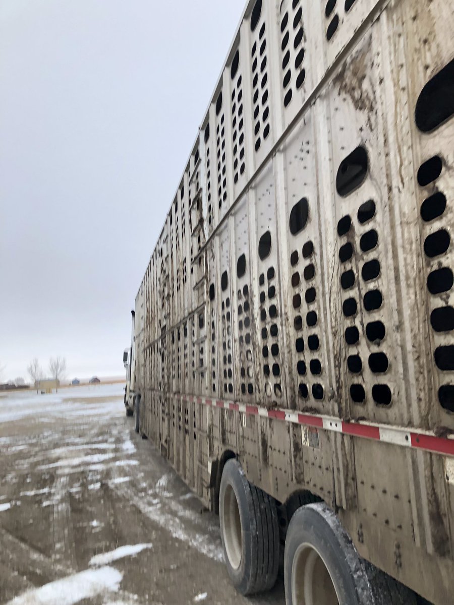 AnchorBLimo's tweet photo. @k_leshures Not a lot of fun but we sent another load yesterday to MB. Same situation, friends we trust… https://t.co/IOqhgtv6vR