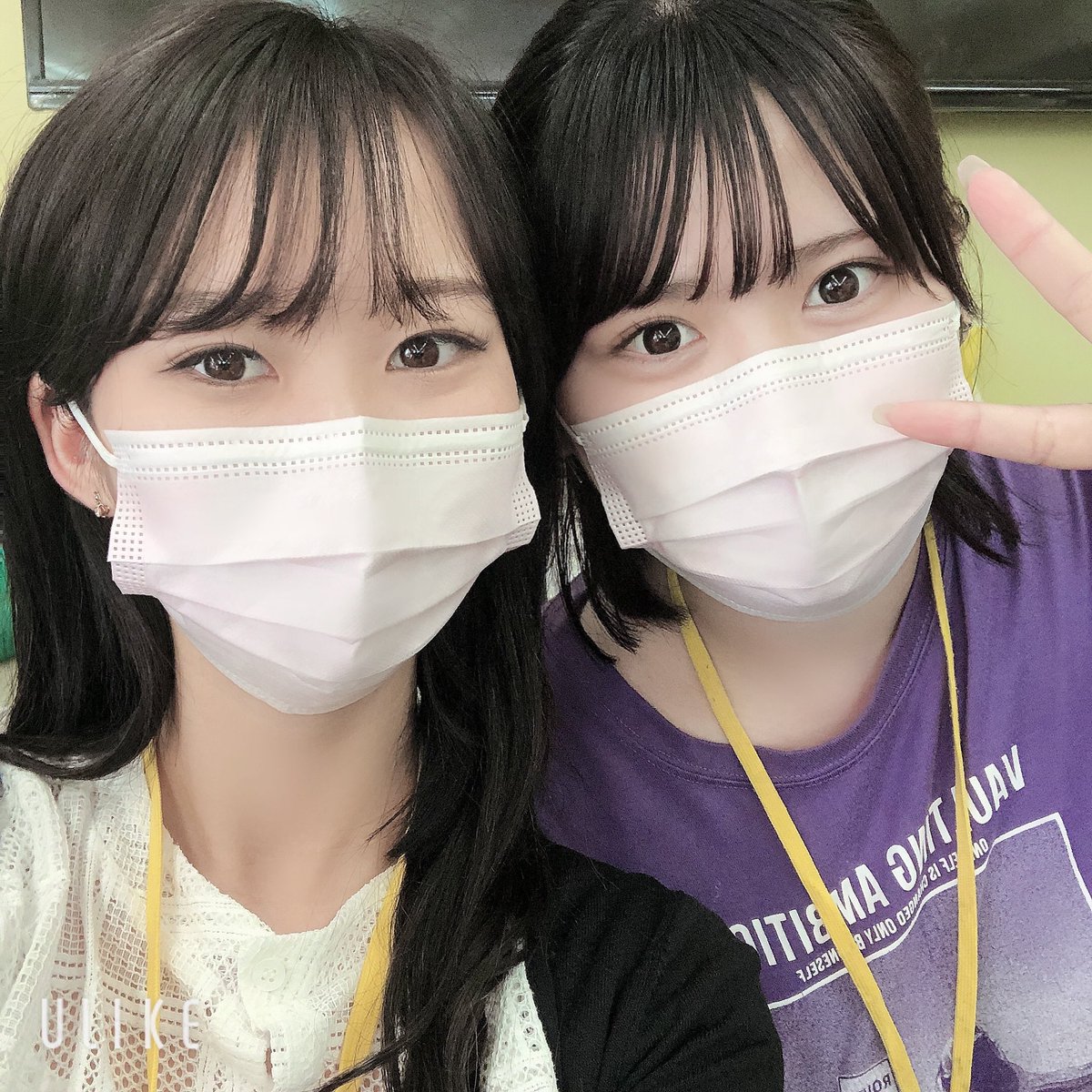 フリー麻雀ひまわり Honten Himawari Twitter