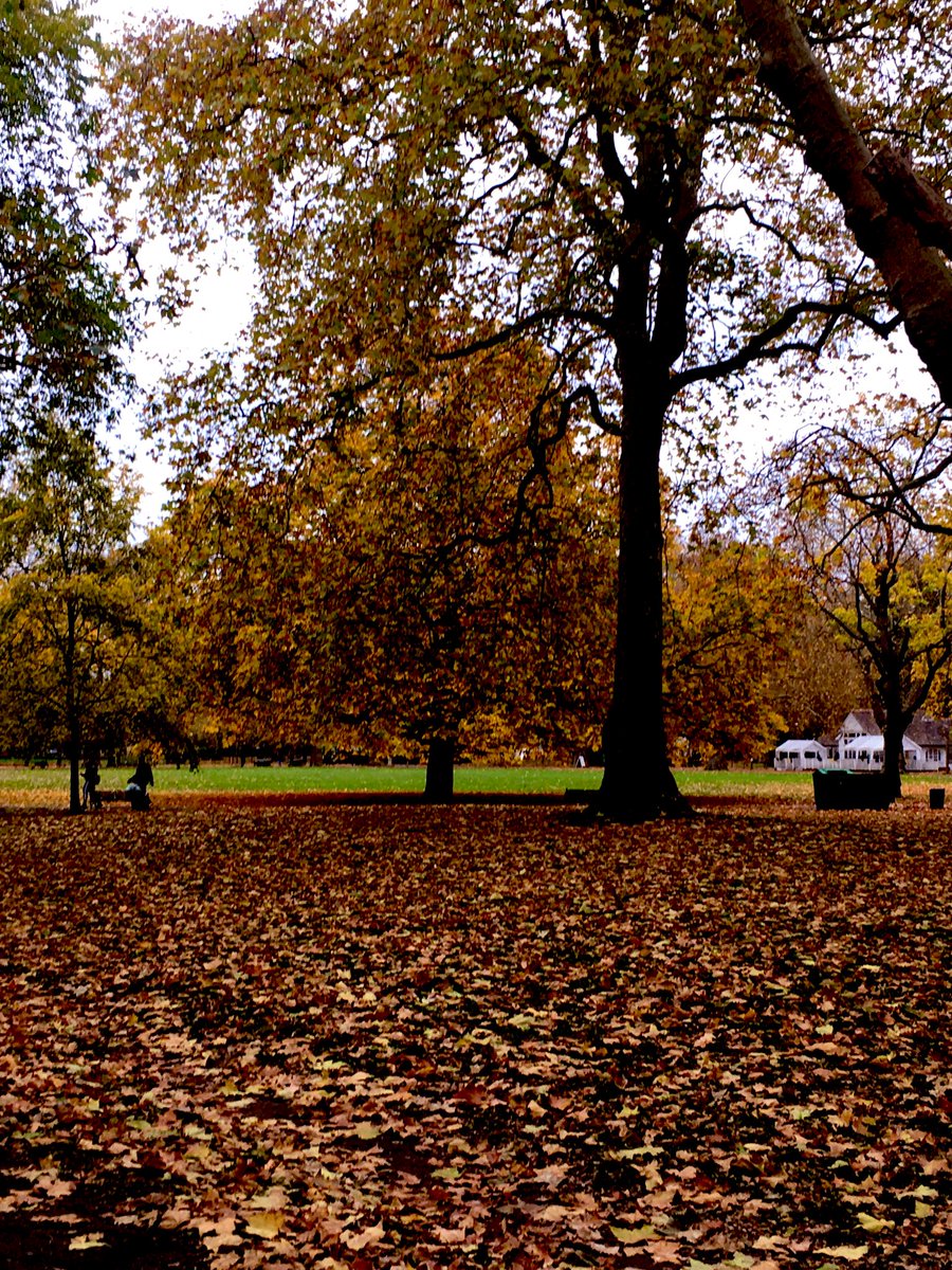 MaryjaneFurniss's tweet photo. #Autumn #London #CleaverSquare @KenParkFriends https://t.co/VoElcnOZTq