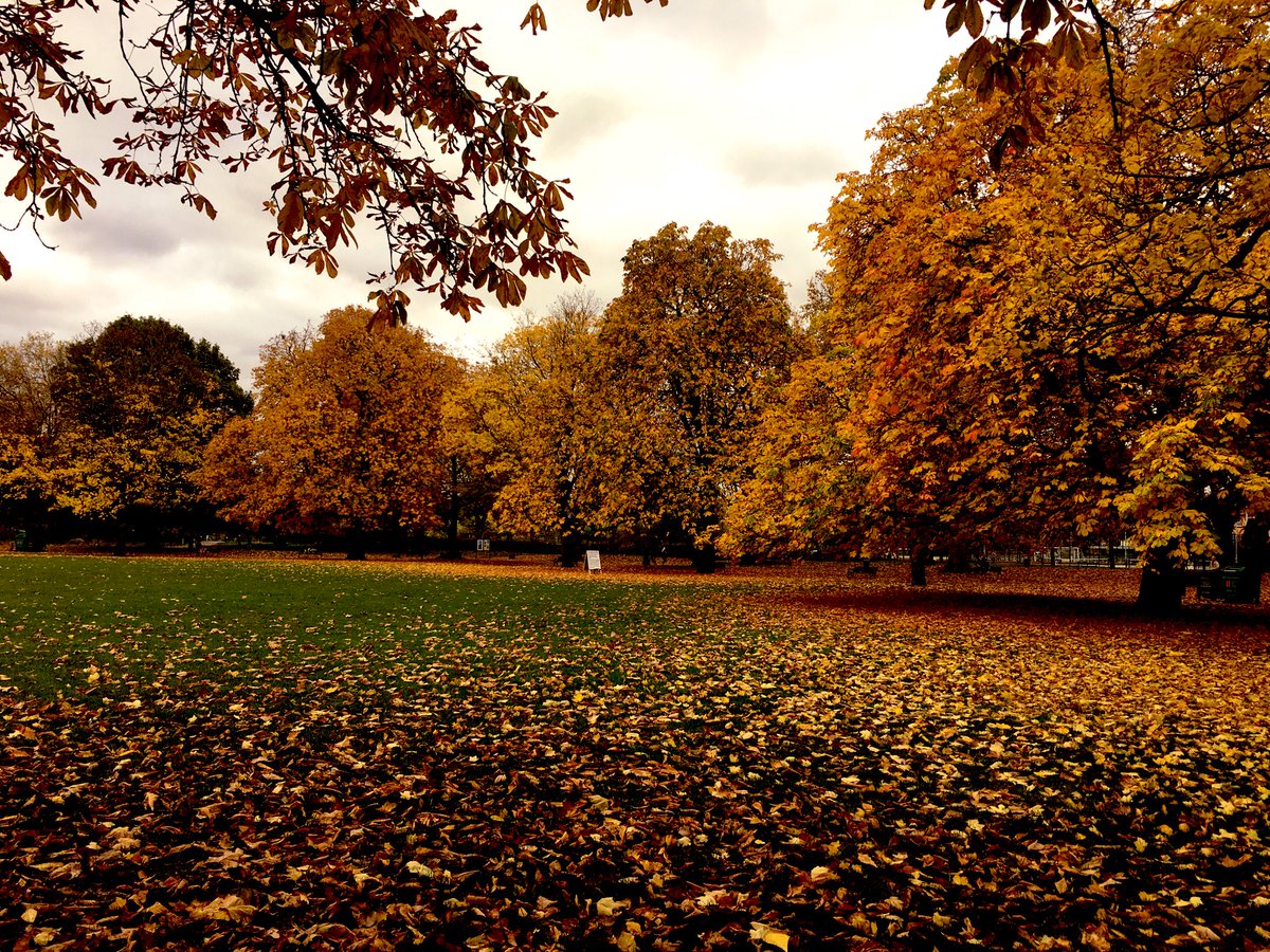MaryjaneFurniss's tweet photo. #Autumn #London #CleaverSquare @KenParkFriends https://t.co/VoElcnOZTq