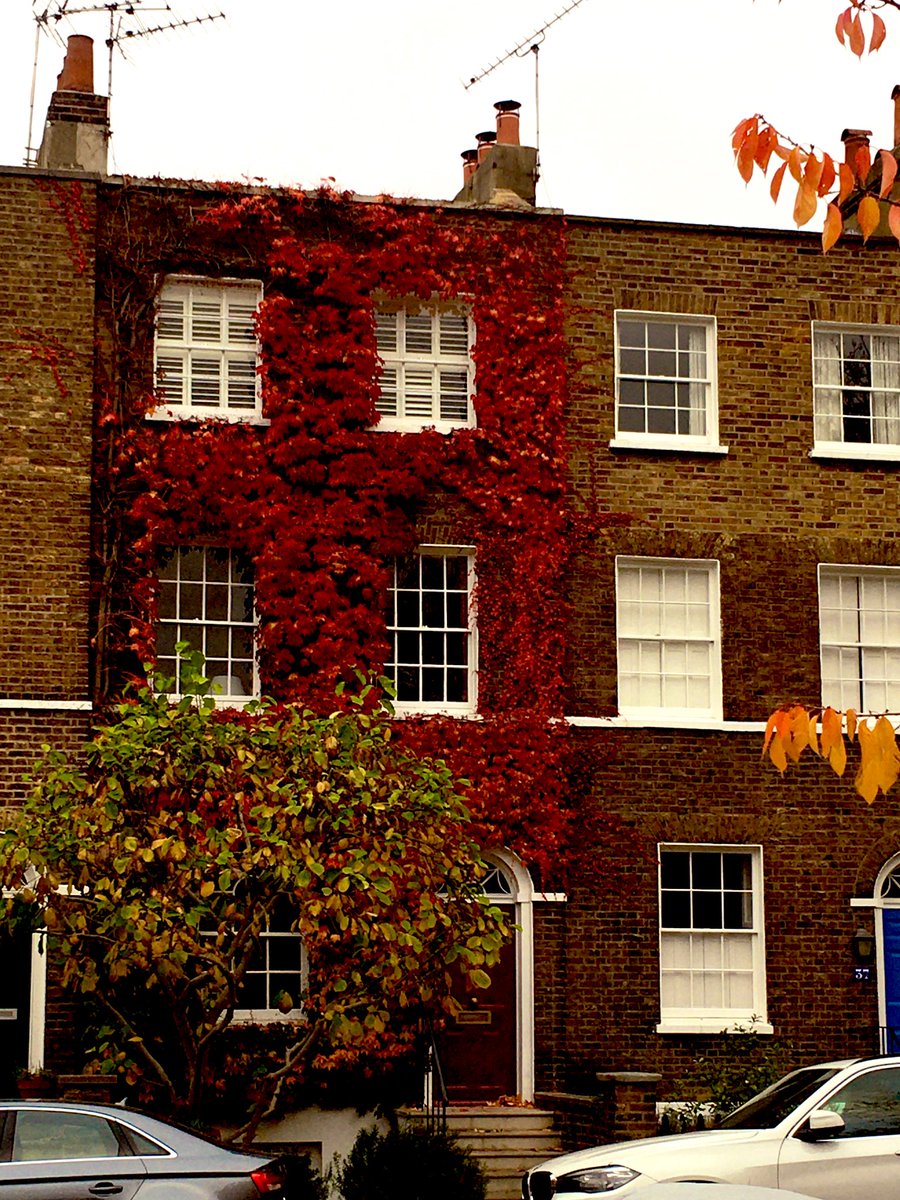 MaryjaneFurniss's tweet photo. #Autumn #London #CleaverSquare @KenParkFriends https://t.co/VoElcnOZTq