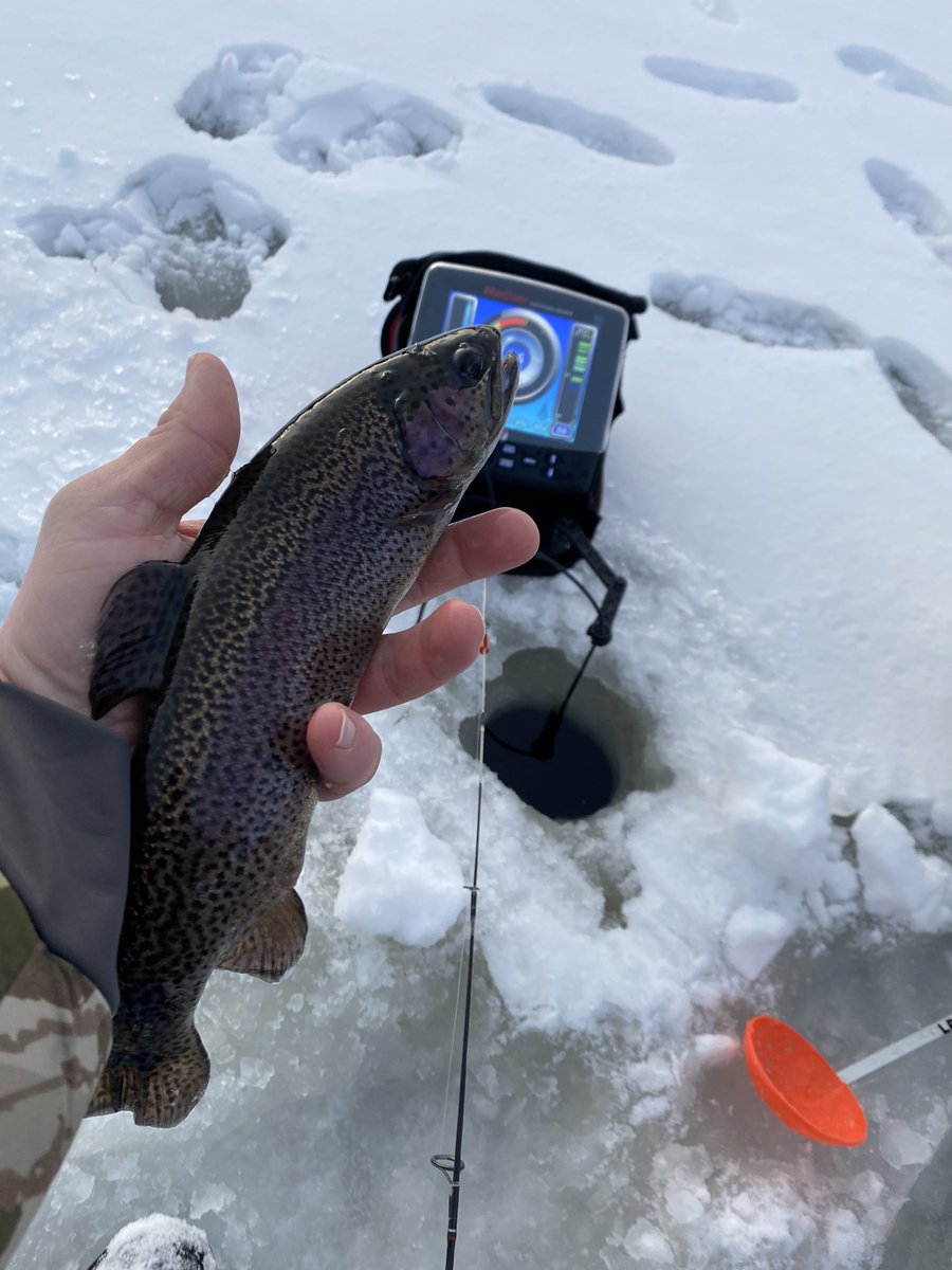 MtnWestIceFish's tweet photo. Another Morning in the Morning in the Utah High Country. 

#underarmour #yeti #sportsmanswarehouse #mtndew #icefishing #ionaugers
#uglystik #jawjacker #procurebaitscents #maniaclures #marcum #bft #clam #mtnops #customjigsandspins #ratfinkee #coldnationoutdoors #icefishingnation https://t.co/wBmsJE270C