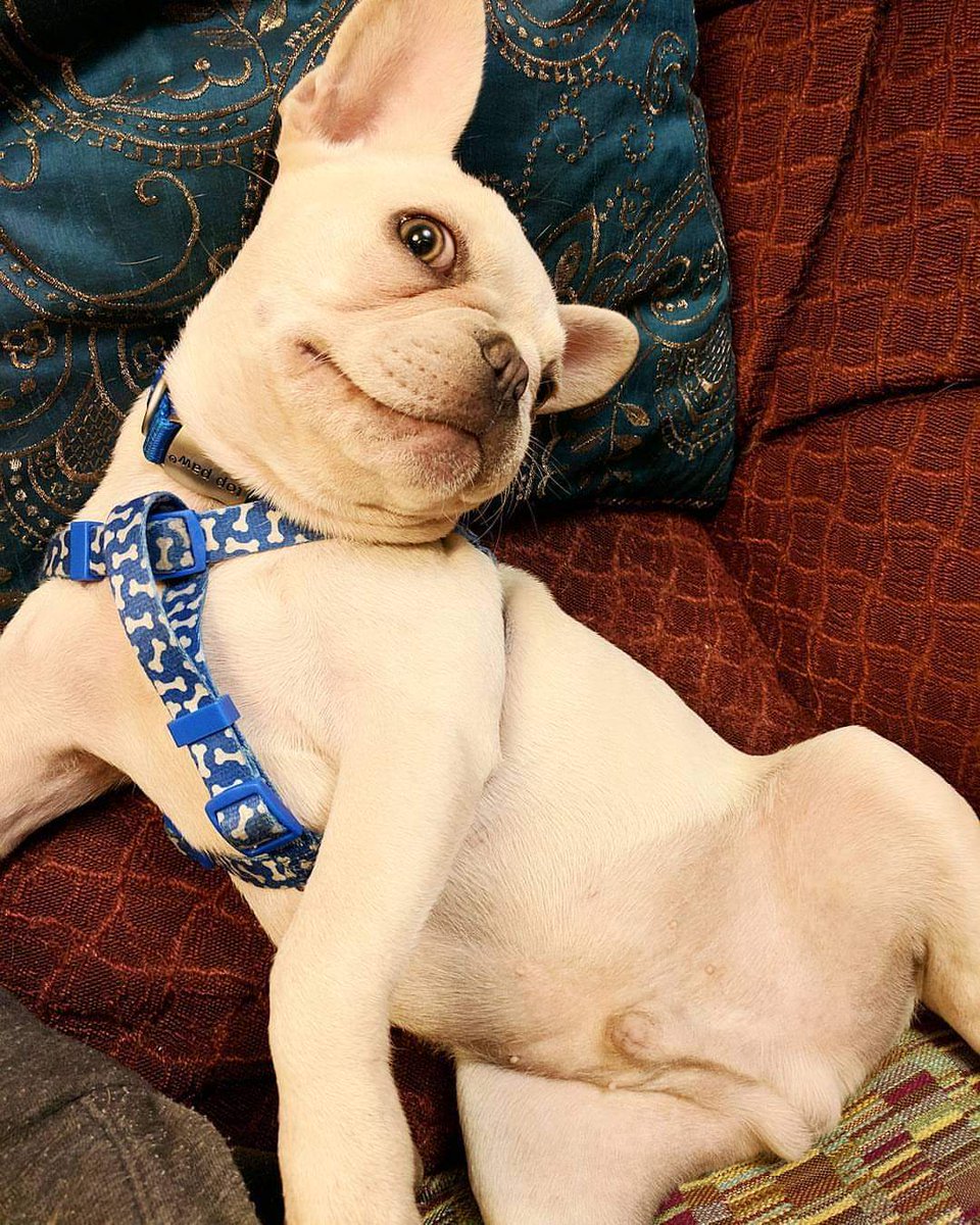 Eats of Asia tweet media