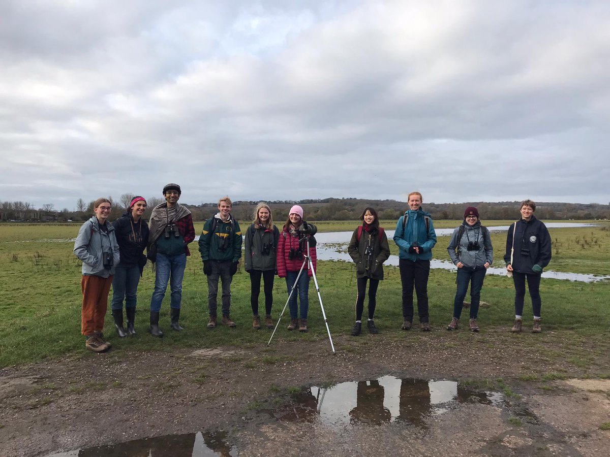Oxford Ornithological Student Society tweet media