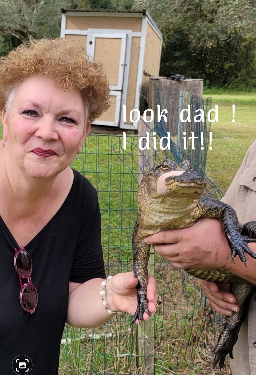 GG2treasures's tweet photo. Come see us at the market today , if your in the neighborhood. Lumpy the Alligator is out back! 😁 #GG2TREASURESROCKSHOP https://t.co/7EvFezrgCu