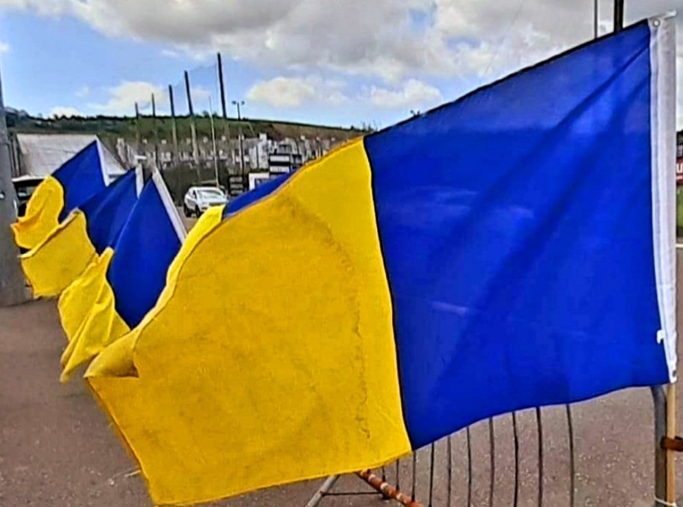CarrigalineGAA's tweet photo. P.S.F.C. Relegation Play off
Full Time
@CarrigalineGAA 1-10
@IlenRoversGAA 0-10

Well done Lads. 👏 👏 Great work rate. Carrigaline are playing Senior Football in 2022. https://t.co/sw9pqL1ibu