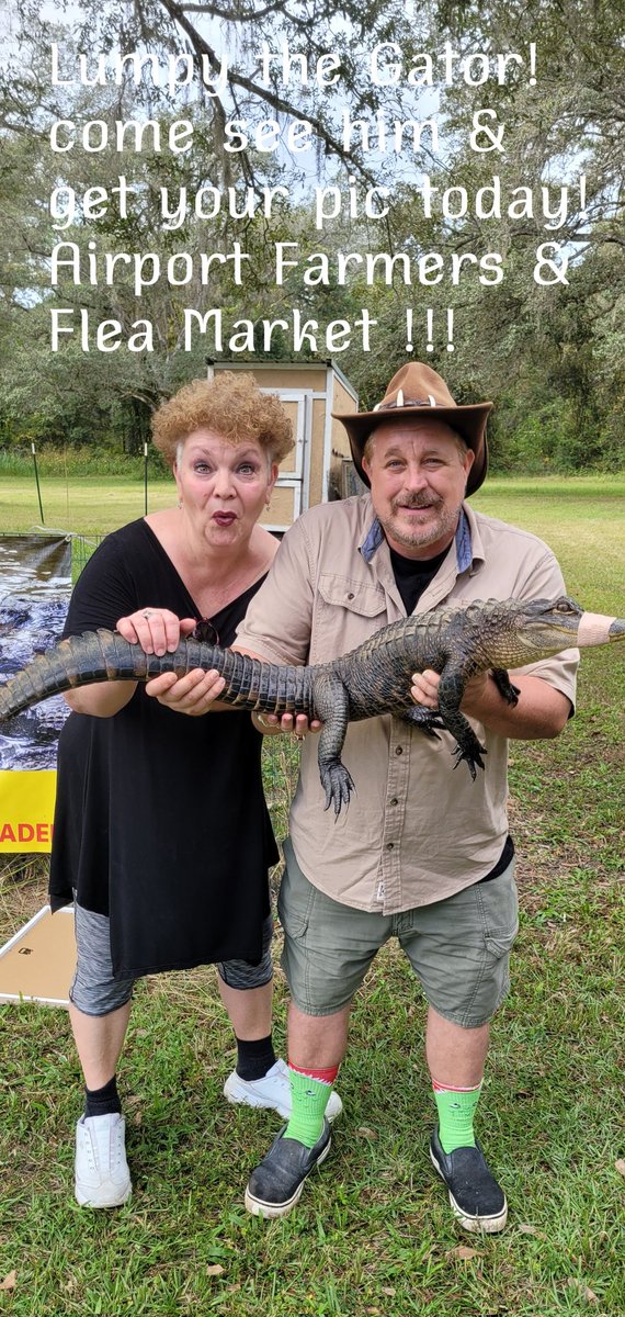 GG2treasures's tweet photo. Come see us at the market today , if your in the neighborhood. Lumpy the Alligator is out back! 😁 #GG2TREASURESROCKSHOP https://t.co/7EvFezrgCu